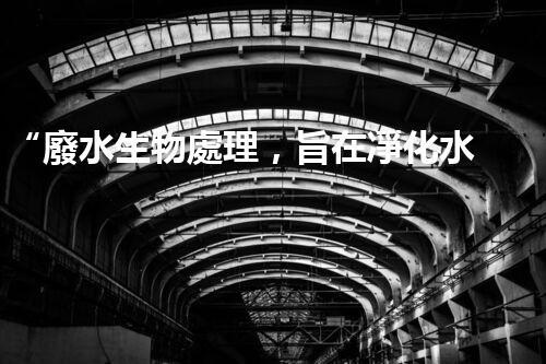 “廢水生物處理，旨在凈化水源，守護碧水藍(lán)天”
